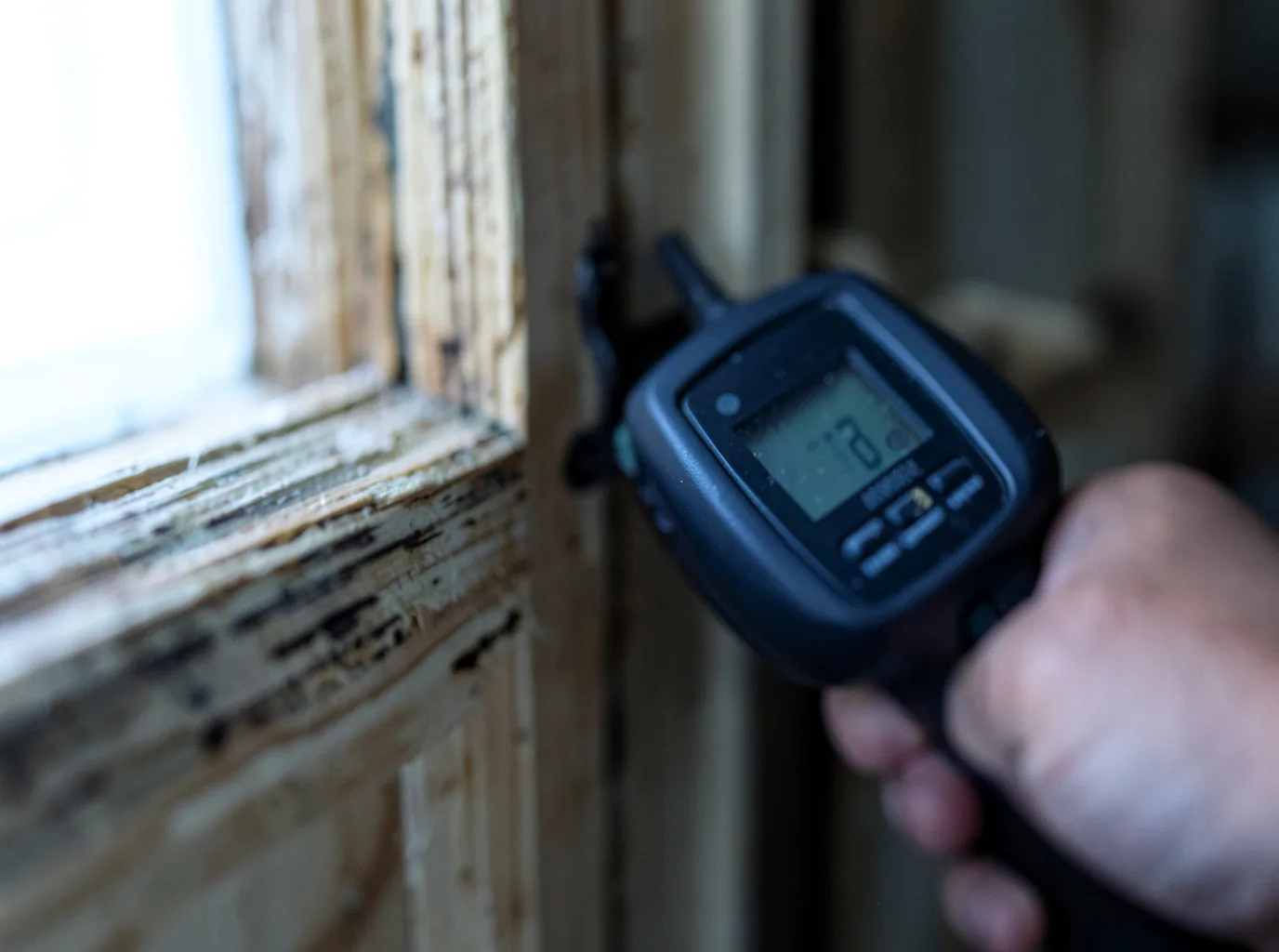 Commercial Water Damage Restoration in Flemingsburg, KY